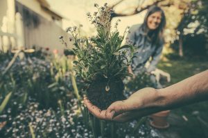 Couple gardening