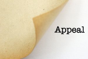 Transvaginal Mesh Appeal