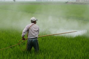 Farmer Applying Paraquat